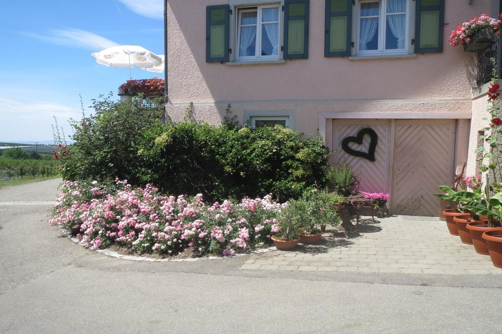 Gaestehaus Frohe Aussicht Kressbronn am Bodensee Exteriér fotografie